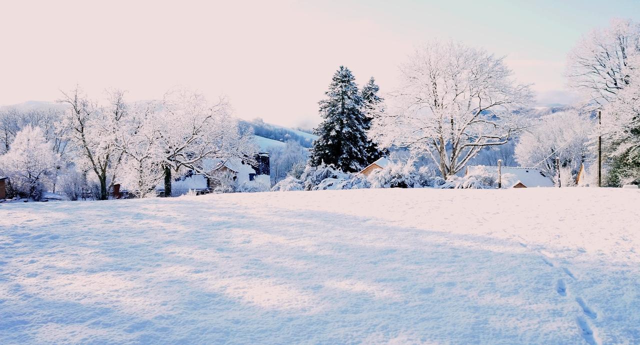 Domaine Des Marequiers Chambre Silene Saint-Germain-du-Teil Exteriör bild