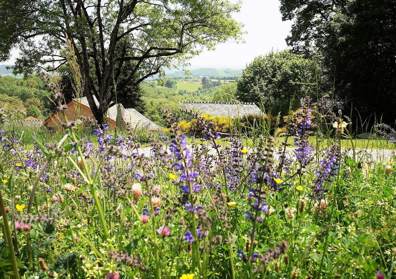 Domaine Des Marequiers Chambre Silene Saint-Germain-du-Teil Exteriör bild