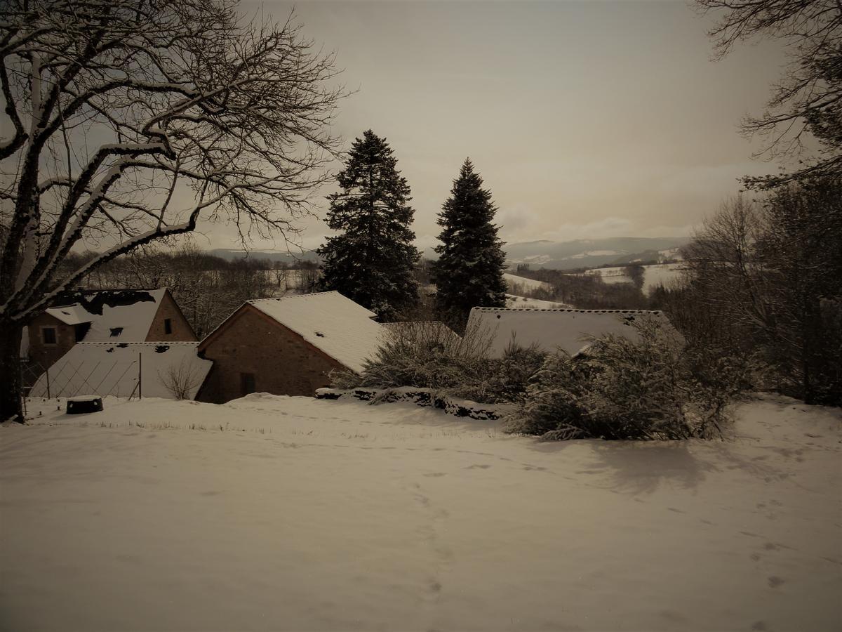 Domaine Des Marequiers Chambre Silene Saint-Germain-du-Teil Exteriör bild